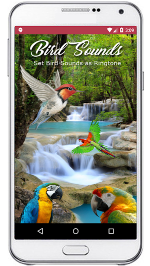 Birds Sounds Ringtones Screenshot 0