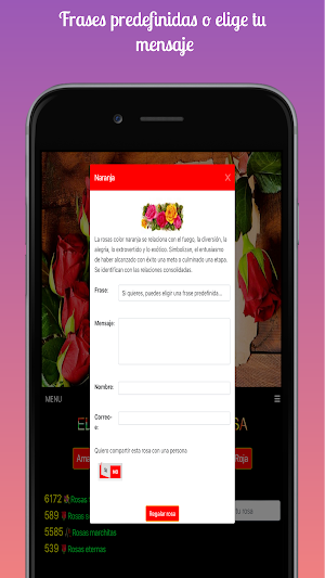 Rosa Virtual Screenshot 2