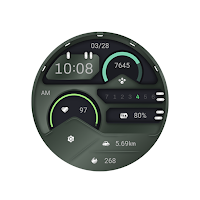 Military Green For Wear OS