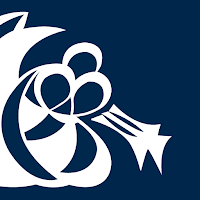 Salmebogen