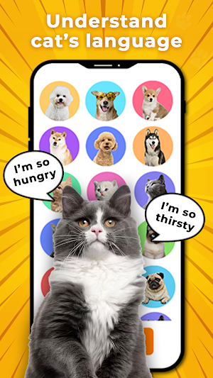 MeowTalk-Cat Translator Prank Screenshot 1