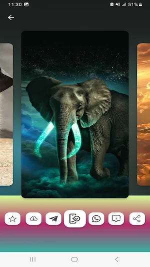 Elephant Wallpapers HD Screenshot 3