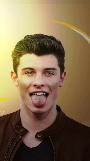 Shawn Mendes:Puzzle,Wallpapers Screenshot 3