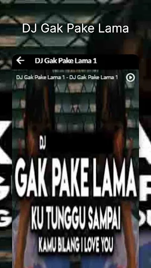 DJ Gak Pake Lama Screenshot 2
