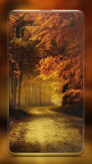 Autumn Wallpapers HD Screenshot 0