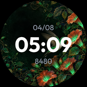 Colibri – watch face Screenshot 3