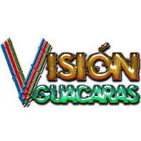 Visión Guacaras