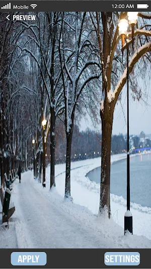 Snow Fall Wallpapers Screenshot 3