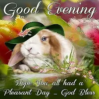 Good evening!