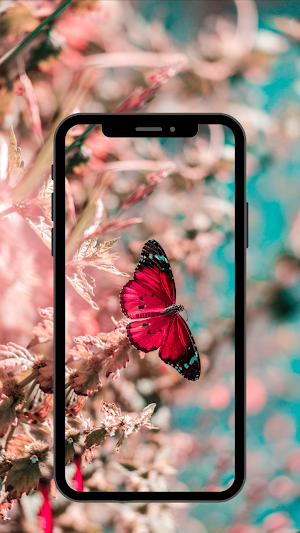 Butterfly wallpaper 4K, UHD Screenshot 3