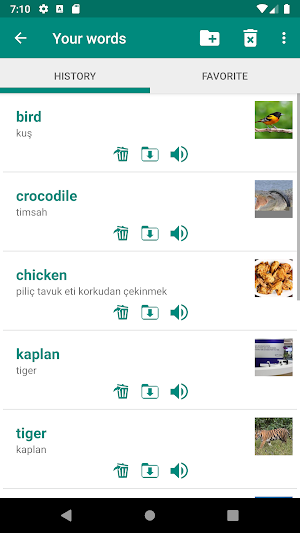 Turkish English Dictionary Screenshot 3