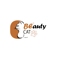 beauty cats