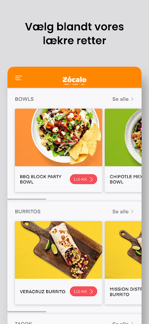 Zócalo Denmark Screenshot 1