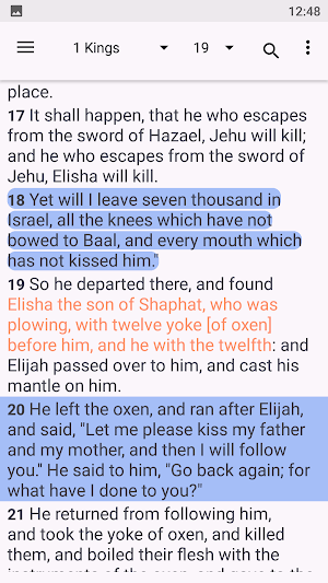 World English Bible- WEB Screenshot 1