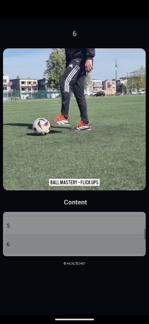 Football Flick Up Skills Screenshot 2
