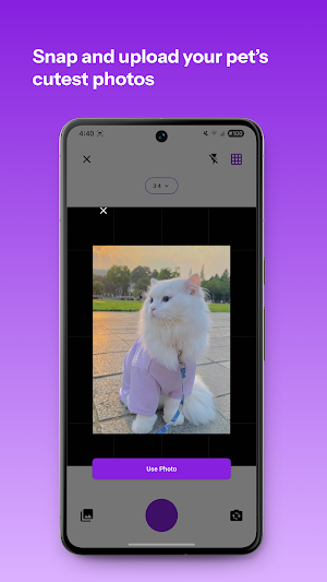 My Pet Plaza Screenshot 2