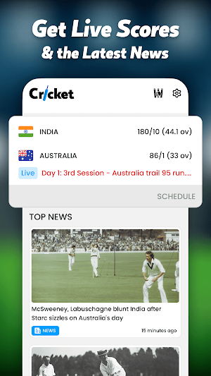 Live Cricket Score - Live Line Screenshot 0