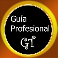 Guia Profesional GT