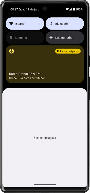 Rádio Grenal 95.9FM Porto A.RS Screenshot 3