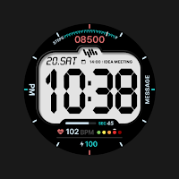 SamWatch Digital XII