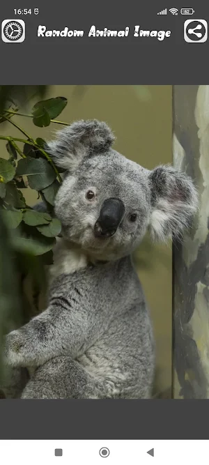 Random Animal Image Screenshot 2
