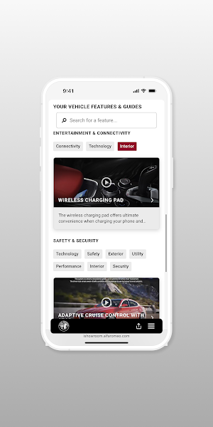Vehicle Delivery Screenshot 3