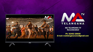 Telangana TV Screenshot 3