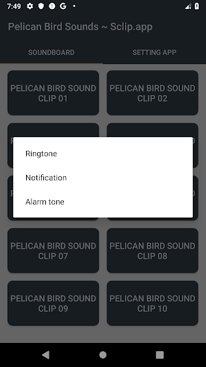 Pelican Bird Sound Collections ~ Sclip.app Screenshot 3