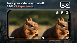 VR Videos and Images Player Screenshot 1