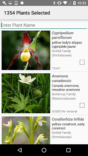 Ontario Wildflowers Screenshot 2
