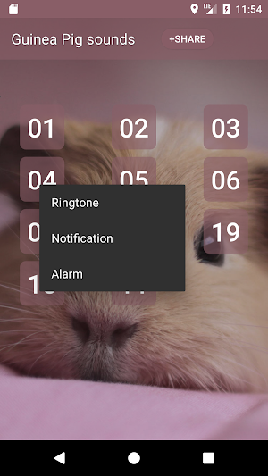 Guinea Pig sounds Screenshot 1