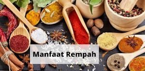 Manfaat Rempah Alami Screenshot 0
