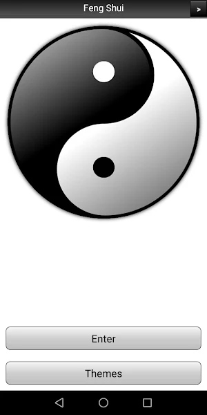 Feng Shui Book Screenshot 0