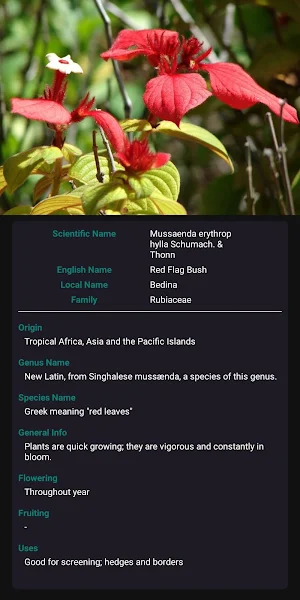Floral Safari Screenshot 3