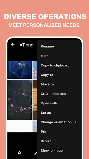 NovaGallery Screenshot 2