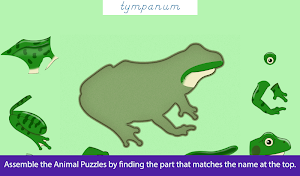 Parts of Animals (Vertebrates) Screenshot 3