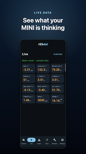r53obd Screenshot 0
