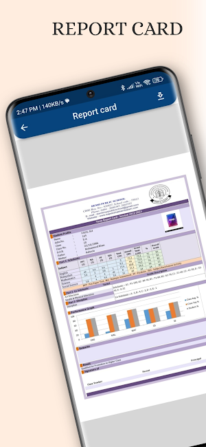 VIDYA VIHAR CENTRAL SCHOOL Screenshot 0
