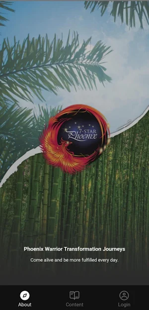 7-Star Phoenix Screenshot 1