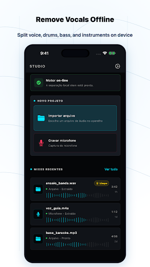 Stemix Vocal Remover Screenshot 0