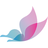 Premier OB-GYN