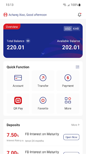 HH Bank Screenshot 3