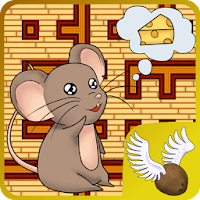 Cats and Mouse Maze