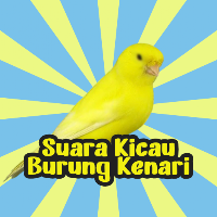 Kicau Burung Kenari MP3