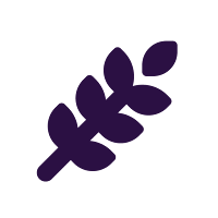 Purplegrain