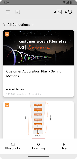 vPlaybook Screenshot 3