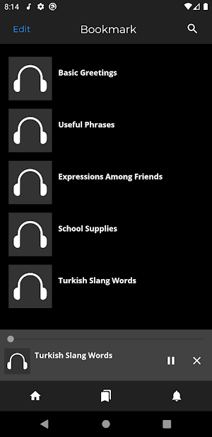 Fast - Speak Turkish Language Screenshot 2