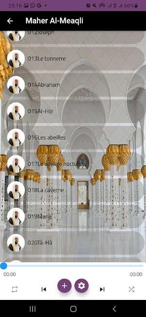 Maher Al-Meaqli Full Quraan Offline. Screenshot 2
