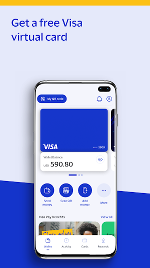 Visa Pay Screenshot 1