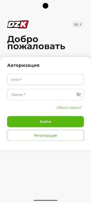 DZK SkyDive Screenshot 2